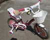 /slike/rapex_slike_arhiva/g2025/m02/BICYCLE VISITOR 2.jpg